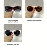 Women's Cat Eye Sunglasses Retro Butterfly Sunglasses Women's Fashion Mountaineering Sunglasses - Image 18