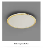 Modern LED Room Decoration Ring Ceiling Light Living Room Bedroom Dining Room Ceiling Lamp Indoor Lighting Decorative Lamps - Image 27