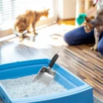 Cat Sand Cleaning For Dog Cat Clean Feces Supplies Cat Litter Shovel Pet Cleanning Tool Pet Products Metal Long Handle Scoop - Image 15