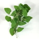 Artificial Terrarium Plants Vine Wall Hanging Flower Rattan Simulation Plastic Leaf Rattan Green Grass Home Balcony Garden Decor - Image 3