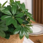 Artificial Plant | Fake Leaves with Stem, Ideal for Living Room, Hotel, Window, Office Decoration, Home and Room Decor - Image 3