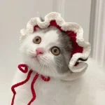 Cute Cat Hat Funny Pets Party Cosplay Headwear Delicate Hemming Pendant Decor Elasticity Knitted Hat Pet Accessories - Image 3