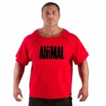 Men's T Shirts Fitness Men Bodybuilding  Shirt Batwing Sleeve Rag shirt Gym Fitness Muscle Running T shirt - Image 23