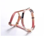 Cats Pet Products Kitten Accessories Harness Pets Goods Collar Harness Leash Things Breast-band Supplies Kittens For Cat Home - Image 11