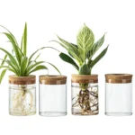 Separated Desktop Acrylic Flower Vases Plants Propagation Stations for Living Room, Bedroom Decoration,Home Decor