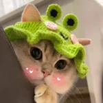 Cute Cat Hat Funny Pets Party Cosplay Headwear Delicate Hemming Pendant Decor Elasticity Knitted Hat Pet Accessories - Image 26