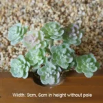 Creative Home Decoration Crafts Imitation Potted Plant Basket Nordic Furnishing Ornaments Art Livingroom Bedroom Hotel Decor - Image 10
