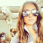 Trendy and Fashionable Aviator Sunglasses, Personalized Sunglasses, Men's and Women's Street Style Sunglasses, Retro Sunglasses, - Image 4