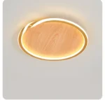 Modern LED Room Decoration Ring Ceiling Light Living Room Bedroom Dining Room Ceiling Lamp Indoor Lighting Decorative Lamps - Image 28