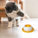 New Dog supplies Anti-overturning Pet toys anti-greedy bite-resistant anti-boring artifact kittens cats dog licking supplies - Image 9