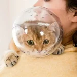 Cat head protection ball, pet grooming accessories, breathable mask, swimming helmet, cat supplies - Image 2