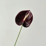 Artificial Flower For Decoration Fake Plants Ornament Decorative Leaf Room Decor Room Accessories Wedding Party Accessories Gift - Image 14