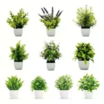 Artificial Plants With Lifelike Foliage And No Maintenance Perfect For Home Office Bathroom Desktop Shelf Decor Indoor Plant - Image 5