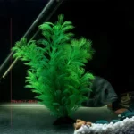 Artificial Aquarium Decor Plants Underwater Water Grass Aquatic Plastic Plants For Fish Tank Aquarium Decorations - Image 8