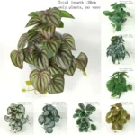 Artificial Terrarium Plants Vine Wall Hanging Flower Rattan Simulation Plastic Leaf Rattan Green Grass Home Balcony Garden Decor - Image 14