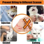 Cat head protection ball, pet grooming accessories, breathable mask, swimming helmet, cat supplies - Image 4