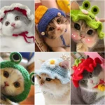 Cute Cat Hat Funny Pets Party Cosplay Headwear Delicate Hemming Pendant Decor Elasticity Knitted Hat Pet Accessories - Image 23