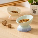 Cat Ceramic Bowl Gradient Pet Food Water Feeders Small Dogs Drinking Eating Supplies Raised Tilted Cats Puppy Feeding Supplies - Image 14