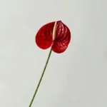 Artificial Flower For Decoration Fake Plants Ornament Decorative Leaf Room Decor Room Accessories Wedding Party Accessories Gift - Image 12