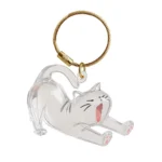 Cat Hair Storage Box Cat Accessories Cute Cat Supplies Clear Cat Fur Keychain Pet Gifts Cat Memorial Gifts Keychains - Image 7