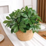 Artificial Plant | Fake Leaves with Stem, Ideal for Living Room, Hotel, Window, Office Decoration, Home and Room Decor - Image 8