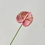 Artificial Flower For Decoration Fake Plants Ornament Decorative Leaf Room Decor Room Accessories Wedding Party Accessories Gift - Image 8