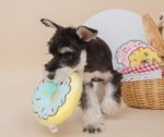 Pet Supplies Dog Plush Chew Interactive Toys - Image 3