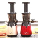 Low Speed Juicer Multifunctional Fruit And Vegetable Juicer