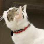 Retro Dog Rope Cat Collar Pet Supplies - Image 3