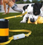 Pet Supplies Retractable Adjustable Dog Leash - Image 6
