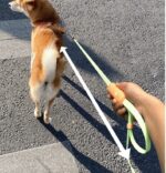 Pet Supplies Retractable Adjustable Dog Leash - Image 7